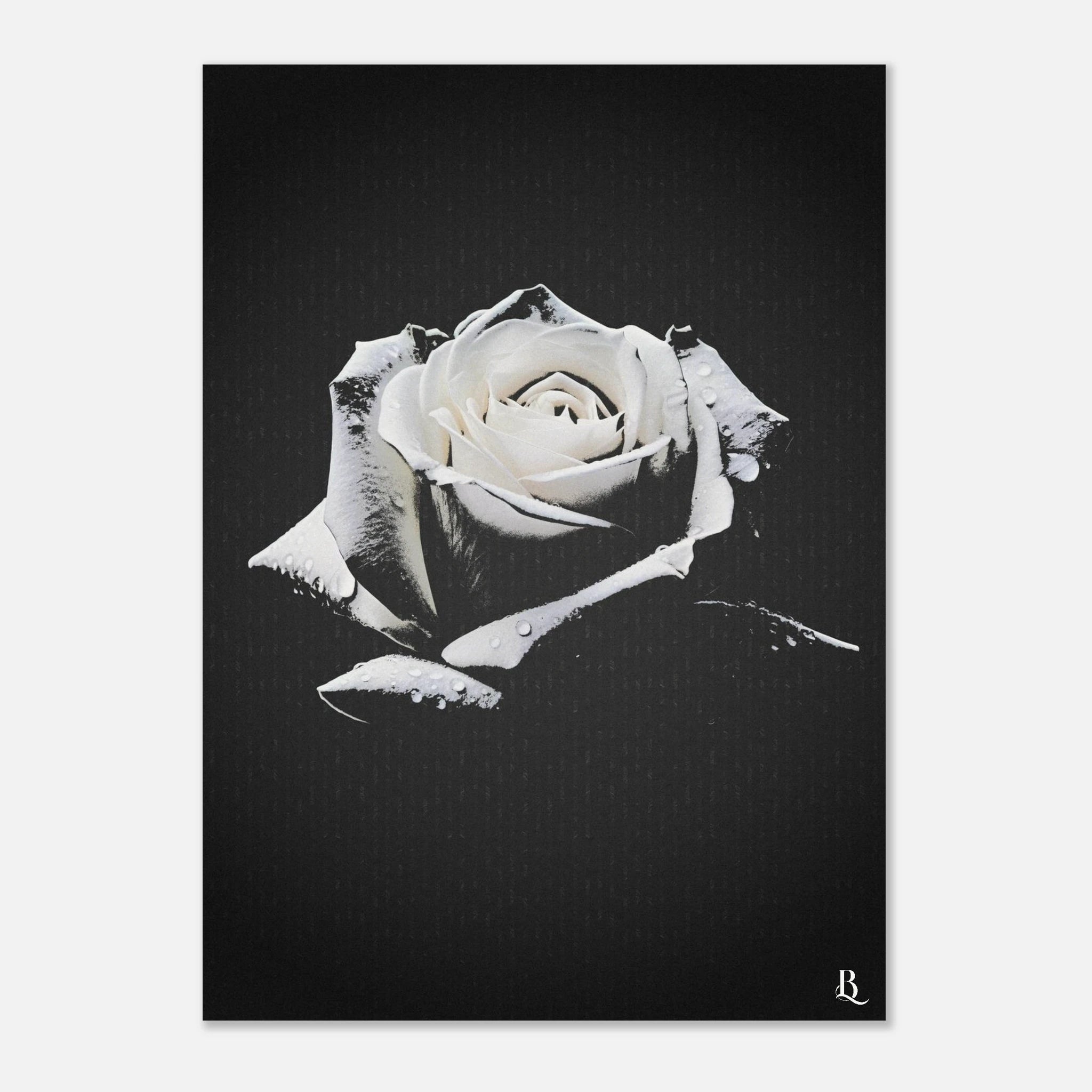 d070012e-db35-46ba-8927-72be18bac04e