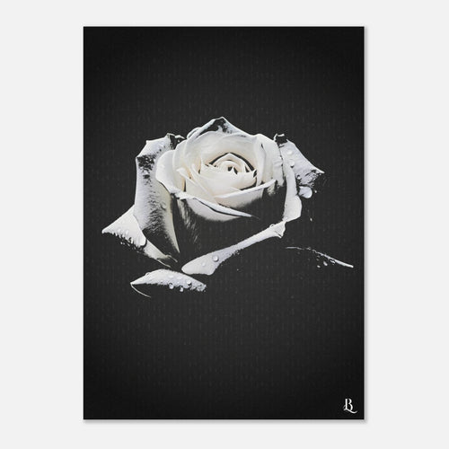 d070012e-db35-46ba-8927-72be18bac04e