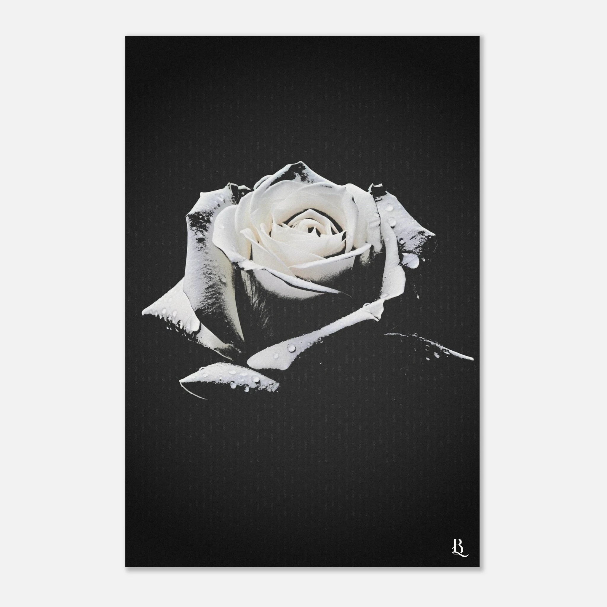 e26999f3-5ccd-4192-9699-ad95538c5084